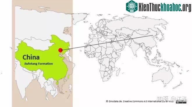 Vị trí địa lý của các hóa thạch được tìm thấy.