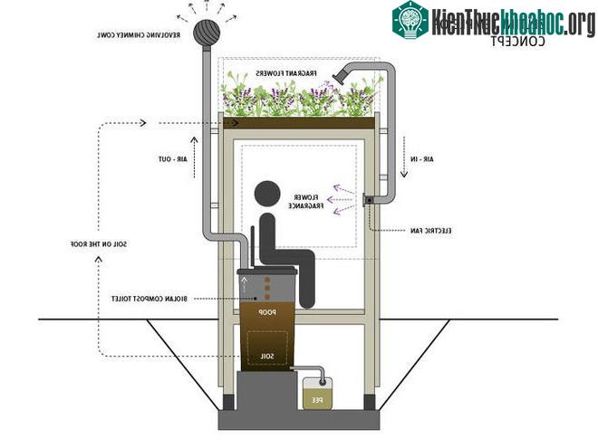 Người sử dụng sẽ được ngửi mùi thơm từ những bông hoa thông qua hệ thống đường ống dẫn khí