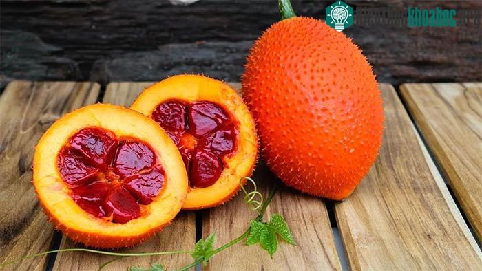 Gấc giàu selen, khoáng chất và các vitamin.