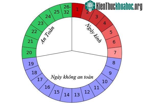 Phương pháp ngày chuẩn có thể áp dụng đối với những phụ nữ có chu kỳ kinh nguyệt đều.