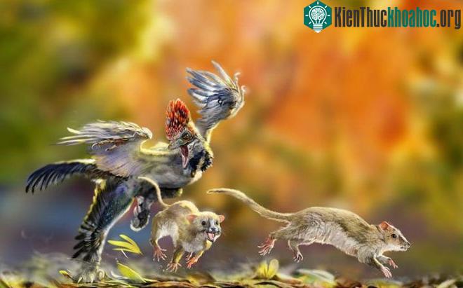 Thời kỳ này, động vật có vú chỉ bé như con chuột.