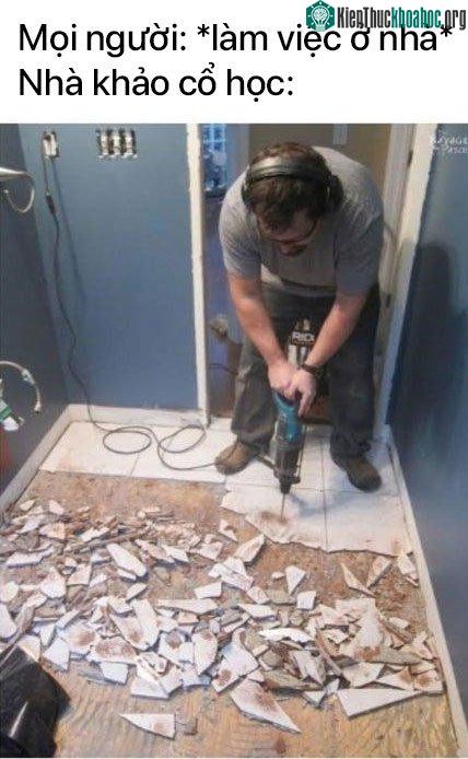 Đào kiểu này chắc ra nhiều cổ vật phết.