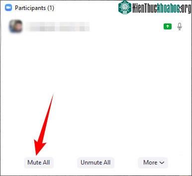 Nhấn Mute All.