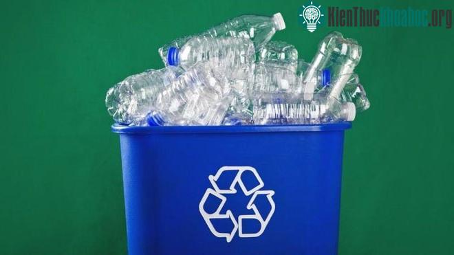Enzyme này phân hủy thành công 90% lượng rác nhựa sau khoảng 10 giờ.