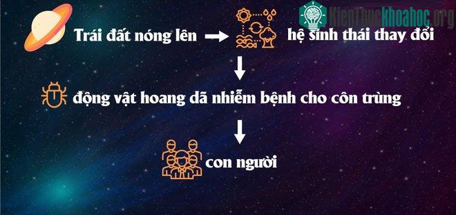 Trái đất nóng lên khiến hệ sinh thái thay đổi