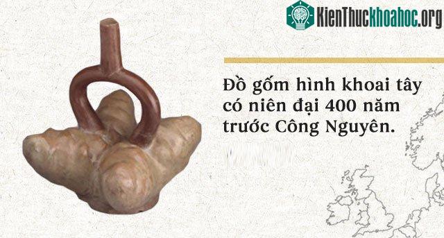 Đồ gốm hình khoai tây