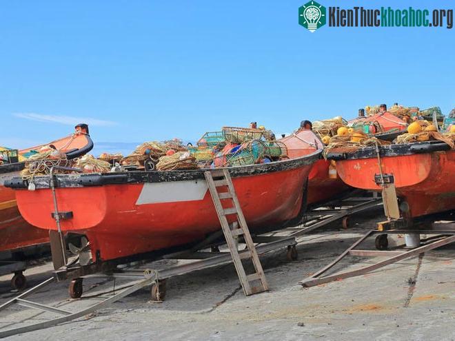 Nền kinh tế địa phương còn phụ thuộc nhiều vào việc xuất khẩu hải sản, đặc biệt là tôm hùm đá.