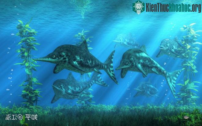 Những con thằn lằn cá cánh hẹp thời cổ đại.