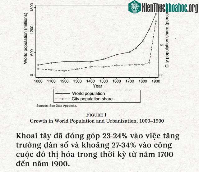 Khoai tây đã đóng góp 23-24% vào việc tăng trưởng dân số và khoảng 27-34%