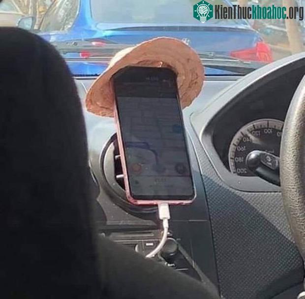 Trông rất gì và này nọ!
