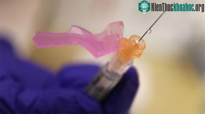 Loại virus chết người lây lan cho 15 triệu dân Mỹ ảnh 2