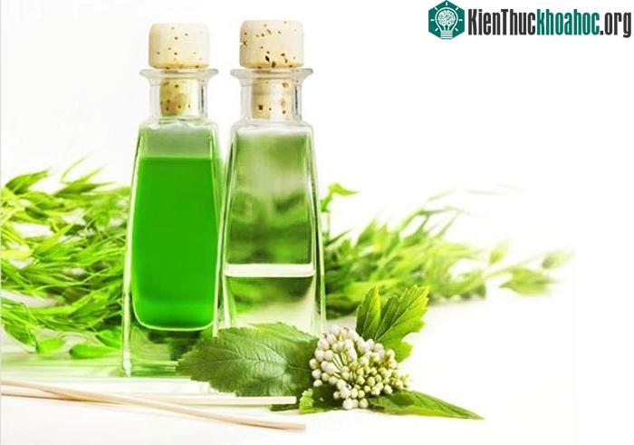 Tinh dầu tràm giúp điều trị viêm xoang rất tốt.