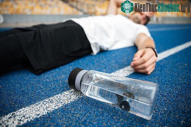 Không nên uống quá nhiều nước trước khi ngủ.