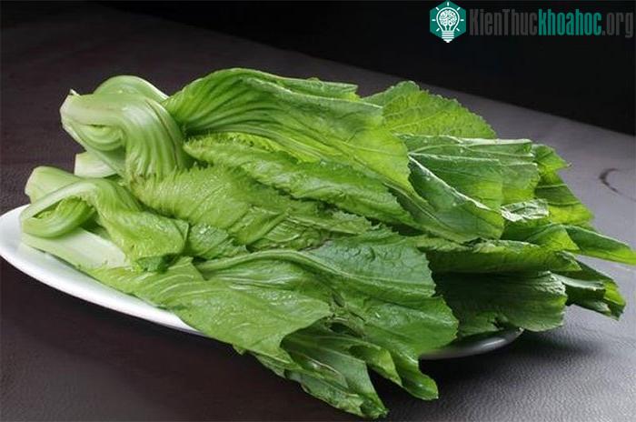 Ăn cải bẹ xanh mỗi ngày giúp phòng ngừa ung thư bàng quang, thanh nhiệt.