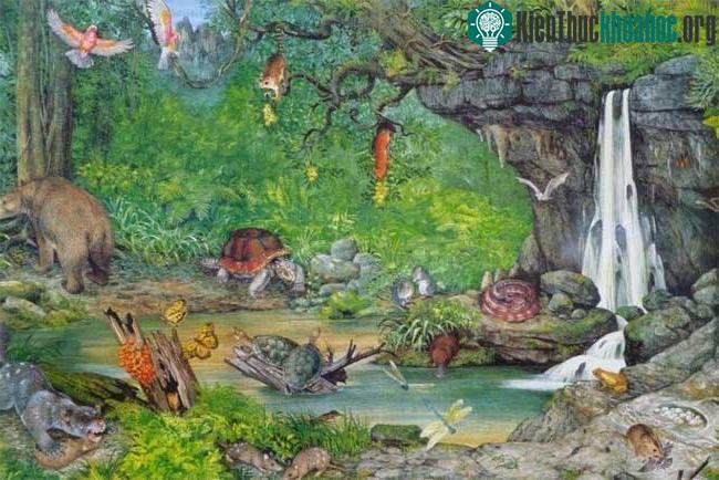Hình minh họa về khu vực hóa thạch Riversleigh vào 18 triệu năm trước. (Ảnh: ABC News).