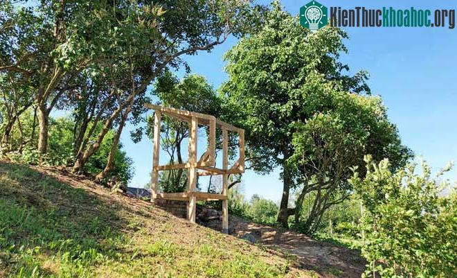 Cấu trúc cơ bản của nó được làm từ gỗ.