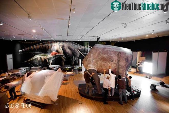 Các nhà cổ sinh vật học đang phục hồi cơ bắp và da của khủng long sauropod khổng lồ.