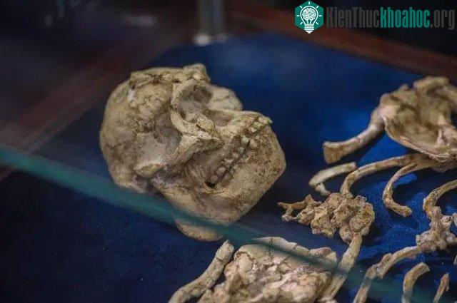 Người ta cho rằng Chân Nhỏ vốn là một phụ nữ 20 tuổi, bị chết do ngã.