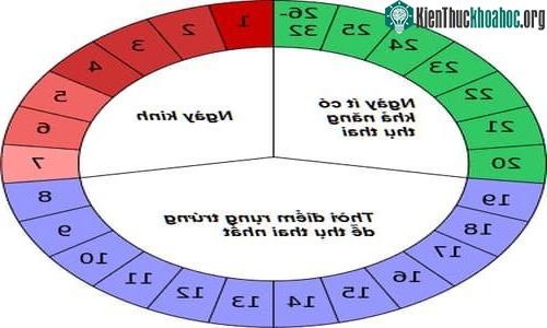 Nếu muốn thực hiện biện pháp tránh thai an toàn có thể dựa vào việc tính ngày “an toàn” để quan hệ.