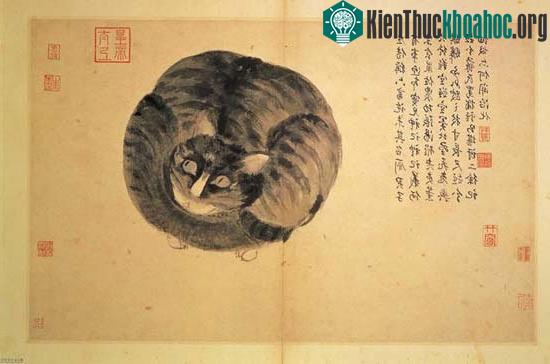 Miêu Quỷ không chỉ để dùng để trả thù, nguyền rủa đối thủ cho đến chết.