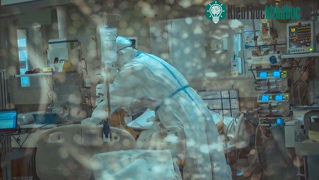 Suy giảm miễn dịch là gì? ảnh 2