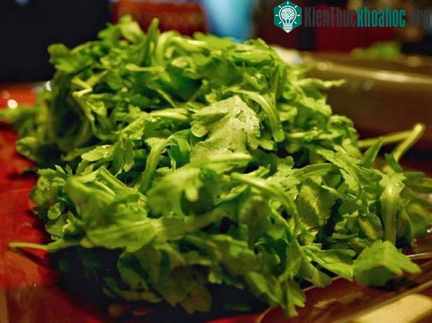Khi bị ho không dứt, bạn có thể dùng cải cúc và phổi lợn nấu thành canh ăn cùng cơm.