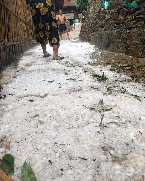 Đây là trận mưa đá khủng khiếp nhất trong 5 năm qua.