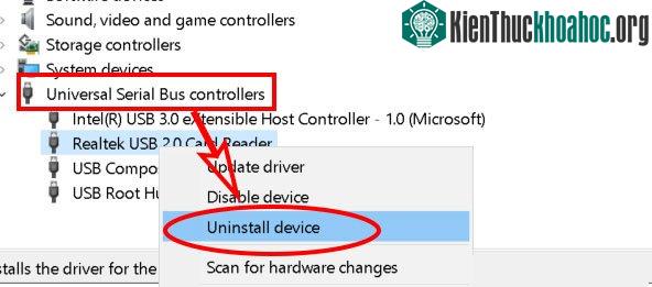 Nhấp đúp vào&nbsp;Universal Serial Bus controllers để mở ra danh sách các thiết bị USB đang kết nối.