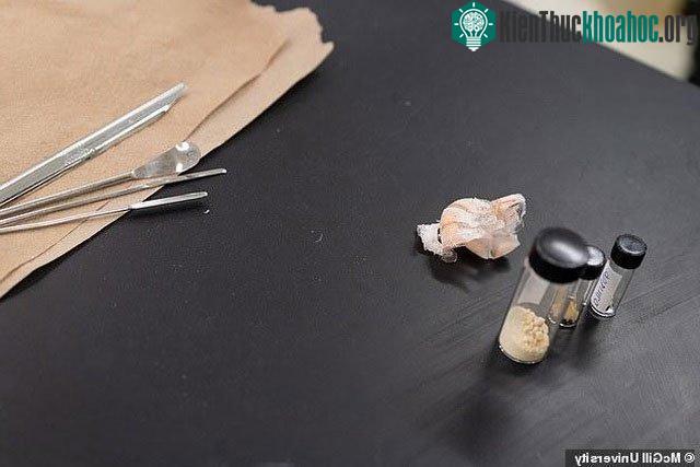 Moores sẽ xử lý vỏ cua bằng cách nghiền thành bột và trộn chúng với một loại bột đặc biệt để chiết xuất chitin