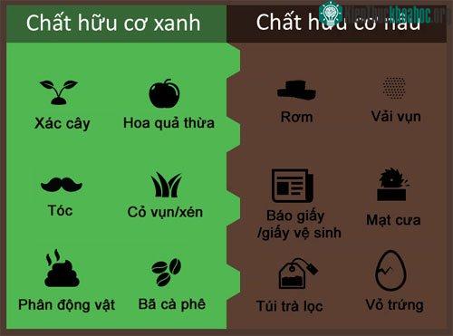Bảng phân loại các loại rác hữu cơ để làm phân hữu cơ.