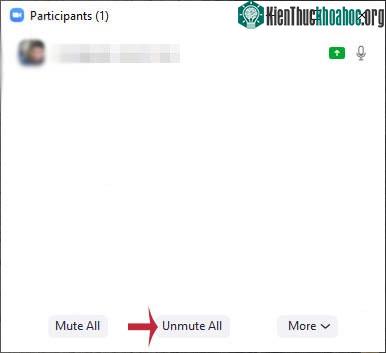 Nhấn Unmute All.