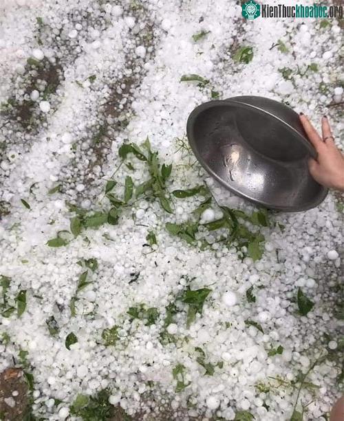 Hạt đá có đường kính 1 - 3cm.