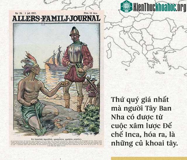 Thứ quý giá nhất mà họ mang về không phải là châu báu, mà lại là vài củ khoai tây