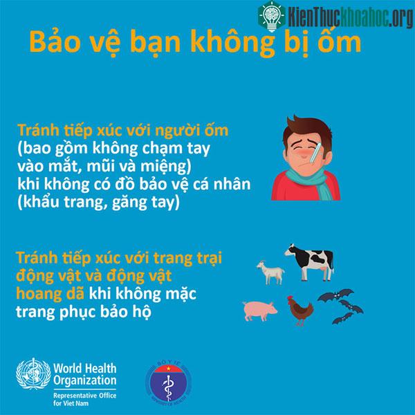 Những lưu ý khi phòng, chống virus Corona ảnh 4