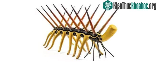 Hallucigenia sparsa
