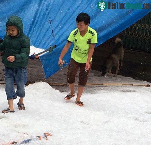 Mưa đá bất ngờ phủ trắng đường, sườn đồi ở Lai Châu ảnh 4