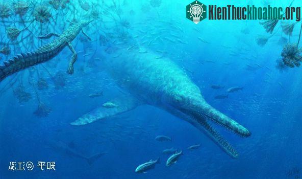 Holzmaden tồn tại hóa thạch của rất nhiều sinh vật biển thời tiền sử.