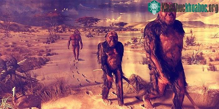 Mỗi khi con người vận động, xương sẽ tăng thêm khối lượng để hỗ trợ.