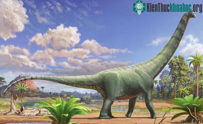 Hình ảnh của loài khủng long Patagotitan sau khi được phục hồi.