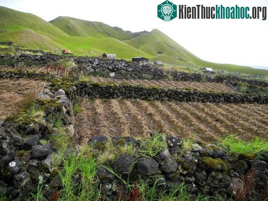 Người dân ở đây hầu hết sinh sống bằng nghề nông với nông sản chủ đạo là khoai tây.