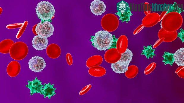 Một quá trình gọi là can thiệp RNA sẽ phá vỡ vật liệu di truyền của virus.