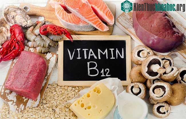Vitamin b12