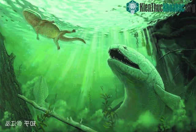 Cuộc tấn công của Heath Rootfish rất dữ dội và đẫm máu.