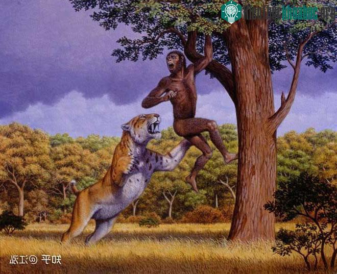 Tổ tiên của con người rất dễ trở thành con mồi cho những loài thú lớn khi chỉ đơn lẻ một mình.