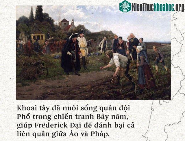Khoai tây đã nuôi sống quân đội Phổ trong chiến tranh