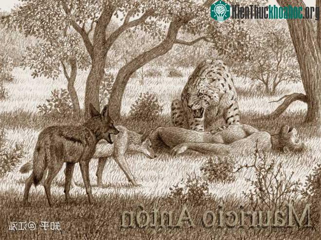 Tổ tiên của loài người đã từng gây ra sự tuyệt chủng của động vật từ 4 triệu năm về trước