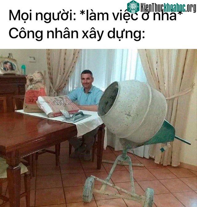 Mấy chú này cũng nên lên mạng tải game xây thành phố về cho đỡ nhớ nghề nhé.