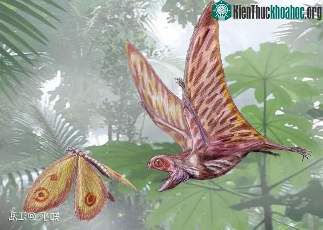 Thức ăn chủ yếu của chúng là côn trùng.