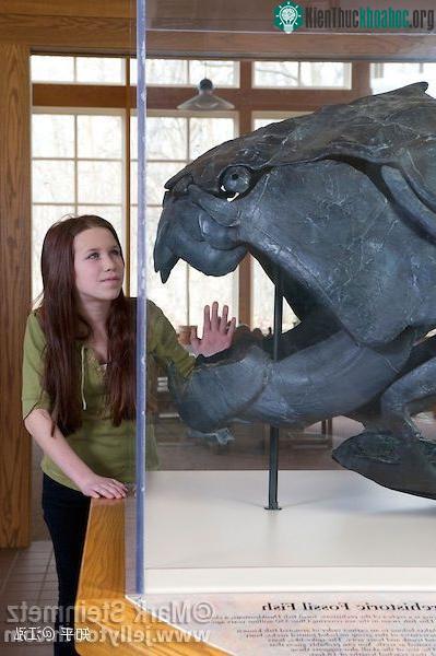 Trong suốt hàng triệu năm trong kỷ Devon, Dunkleosteus là loài sinh vật biển thống trị hoàn toàn thế giới đại dương. Các nhà khoa học cho biết, loài sinh vật khủng khiếp này là loài cá lớn nhất đại...