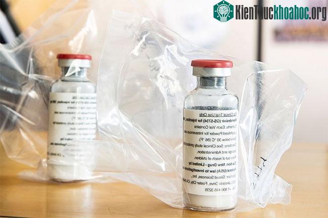Vì sao có rất nhiều thuốc diệt vi trùng nhưng rất ít thuốc diệt virus? ảnh 0